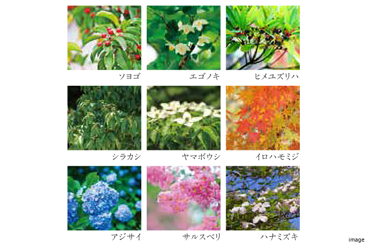 植栽｜ザ・パークハウス経堂レジデンス